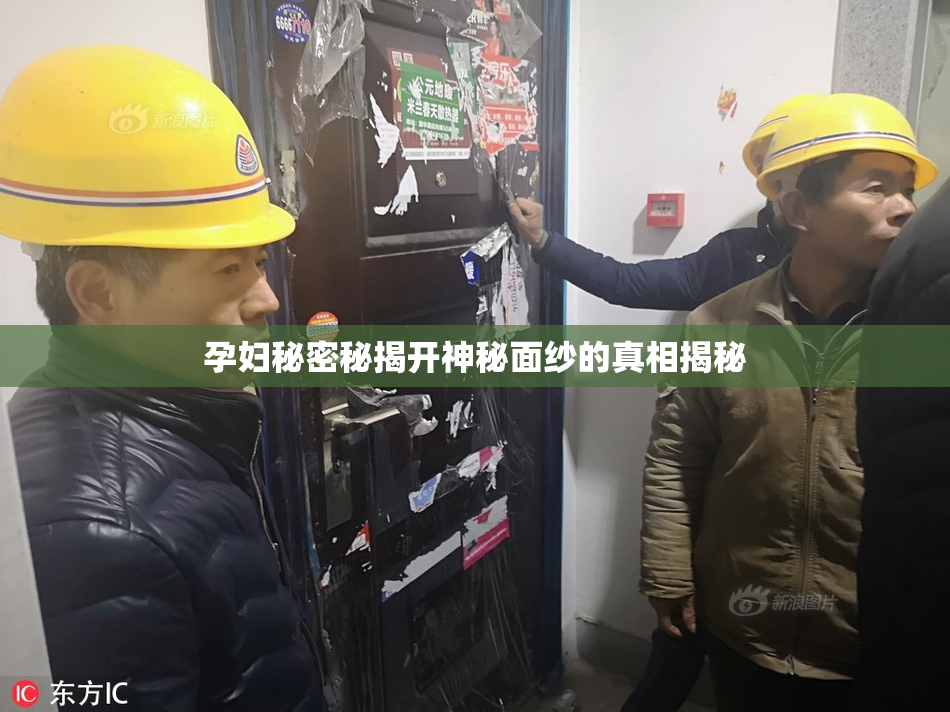 孕妇秘密秘揭开神秘面纱的真相揭秘