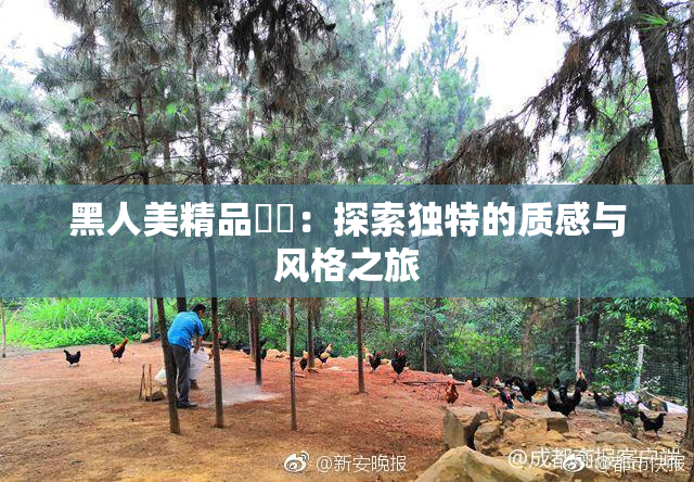 黑人美精品❌‌：探索独特的质感与风格之旅