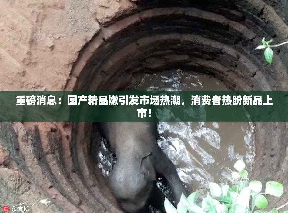 重磅消息：国产精品嫩引发市场热潮，消费者热盼新品上市！