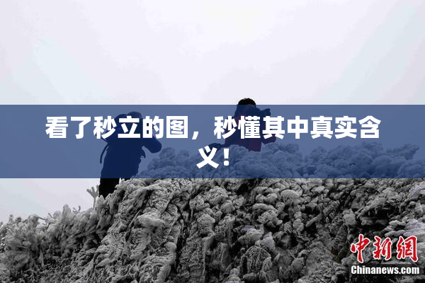 看了秒立的图，秒懂其中真实含义！