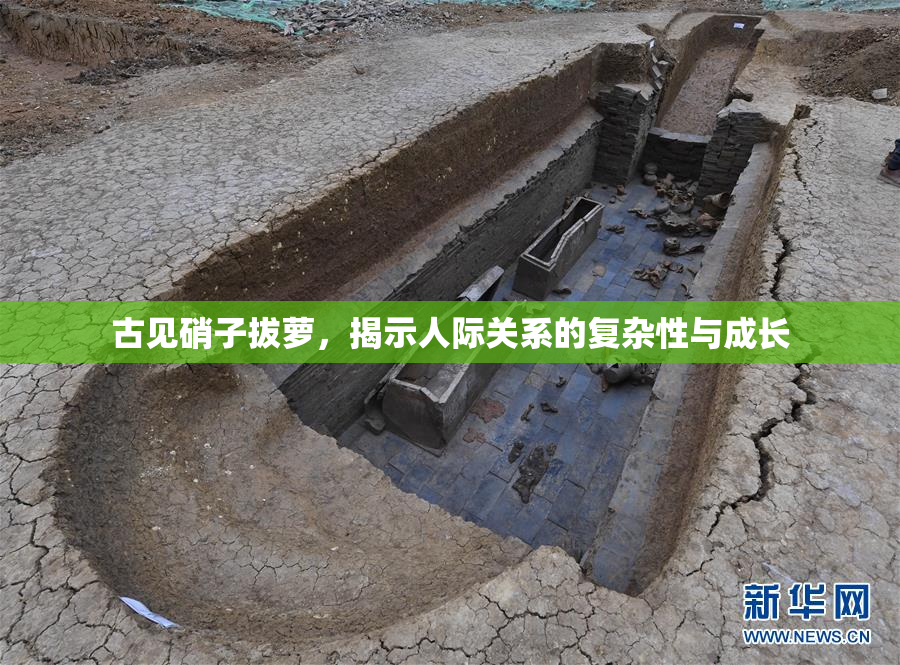 古见硝子拔萝，揭示人际关系的复杂性与成长