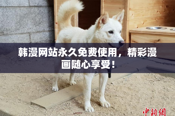 韩漫网站永久免费使用，精彩漫画随心享受！