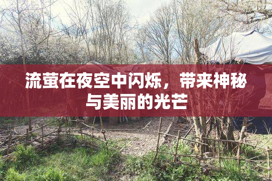 流萤在夜空中闪烁，带来神秘与美丽的光芒