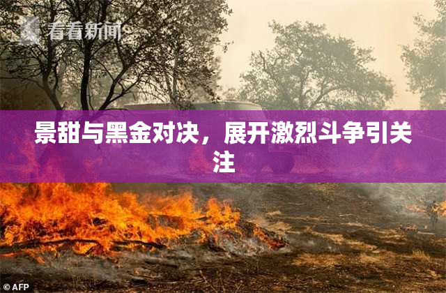 景甜与黑金对决，展开激烈斗争引关注