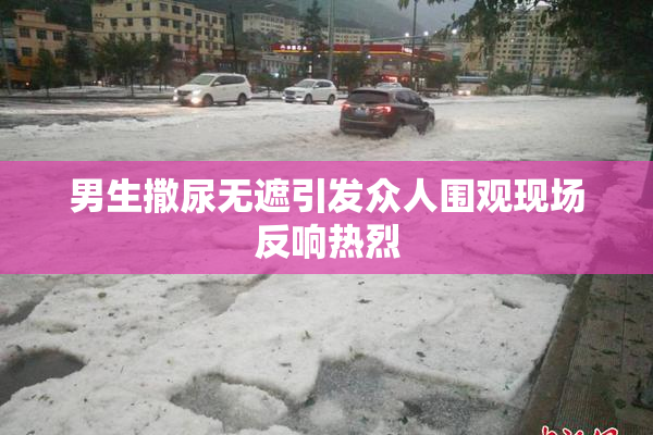 男生撒尿无遮引发众人围观现场反响热烈
