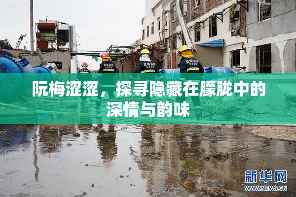 阮梅涩涩，探寻隐藏在朦胧中的深情与韵味