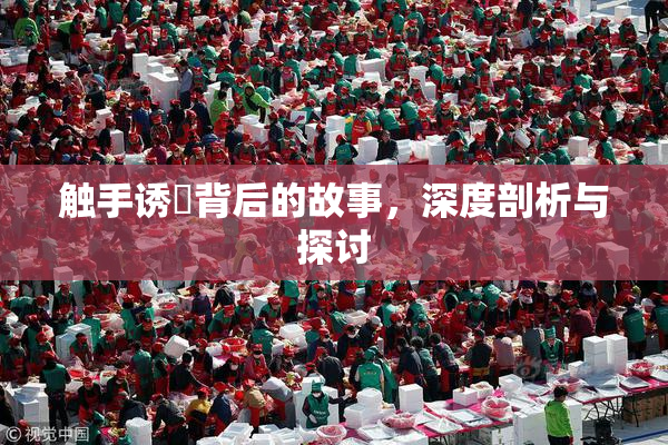 触手诱奷背后的故事，深度剖析与探讨