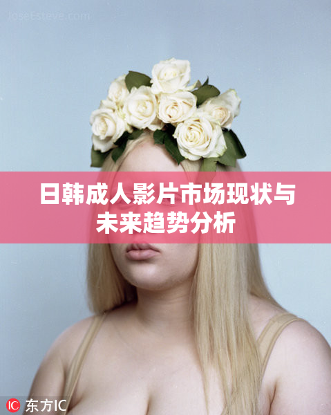 日韩成人影片市场现状与未来趋势分析