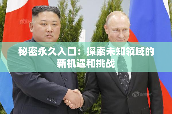 秘密永久入口：探索未知领域的新机遇和挑战