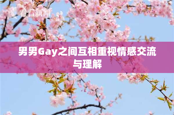 男男Gay之间互相重视情感交流与理解