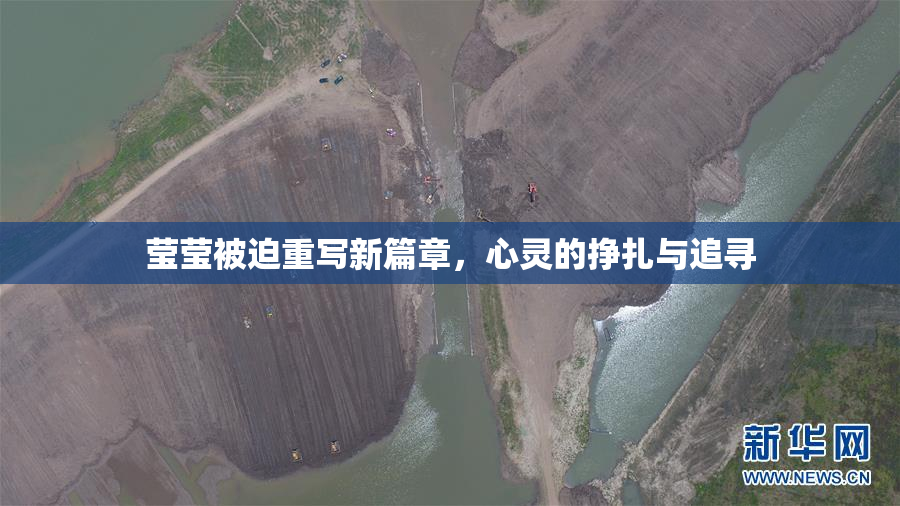 莹莹被迫重写新篇章，心灵的挣扎与追寻