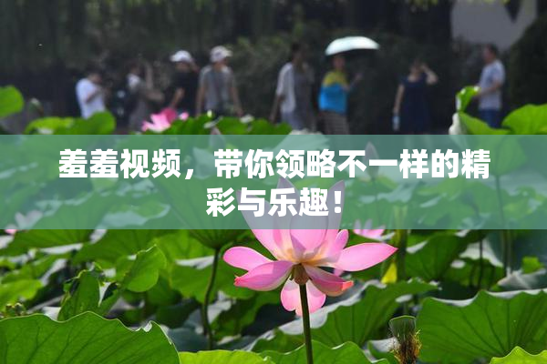 羞羞视频，带你领略不一样的精彩与乐趣！
