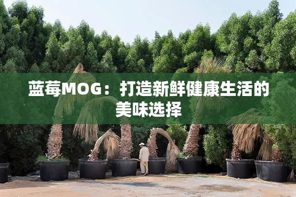 蓝莓MOG：打造新鲜健康生活的美味选择