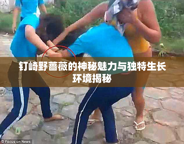 钉崎野蔷薇的神秘魅力与独特生长环境揭秘