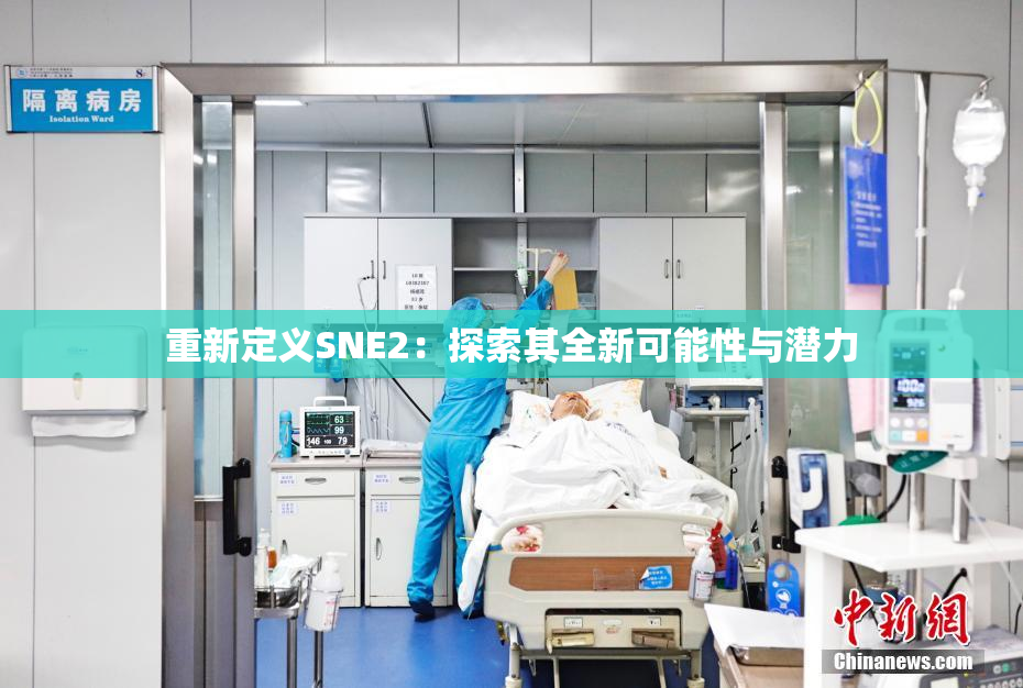 重新定义SNE2：探索其全新可能性与潜力