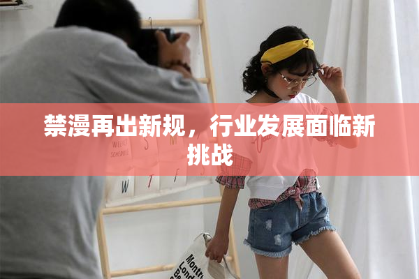 禁漫再出新规，行业发展面临新挑战