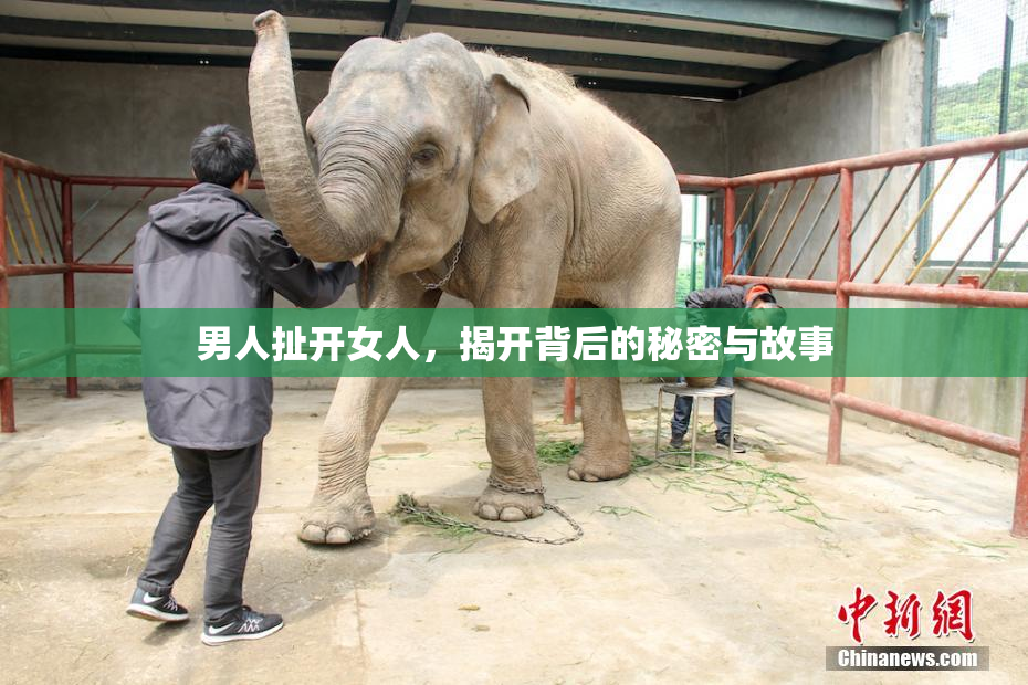男人扯开女人，揭开背后的秘密与故事