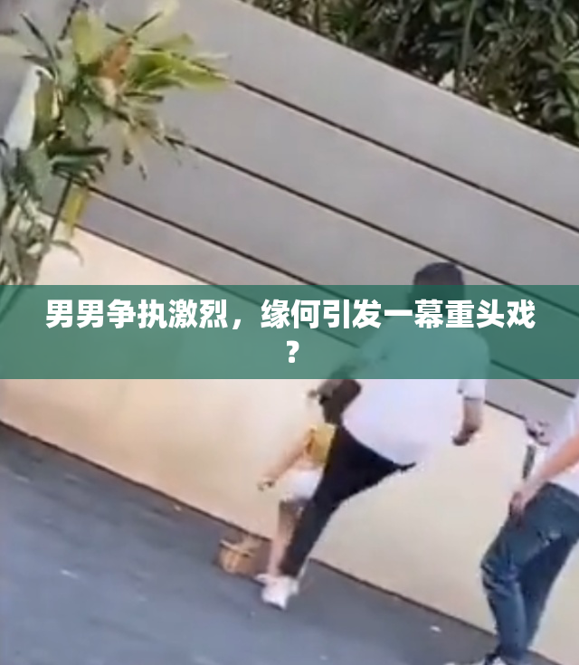 男男争执激烈，缘何引发一幕重头戏？