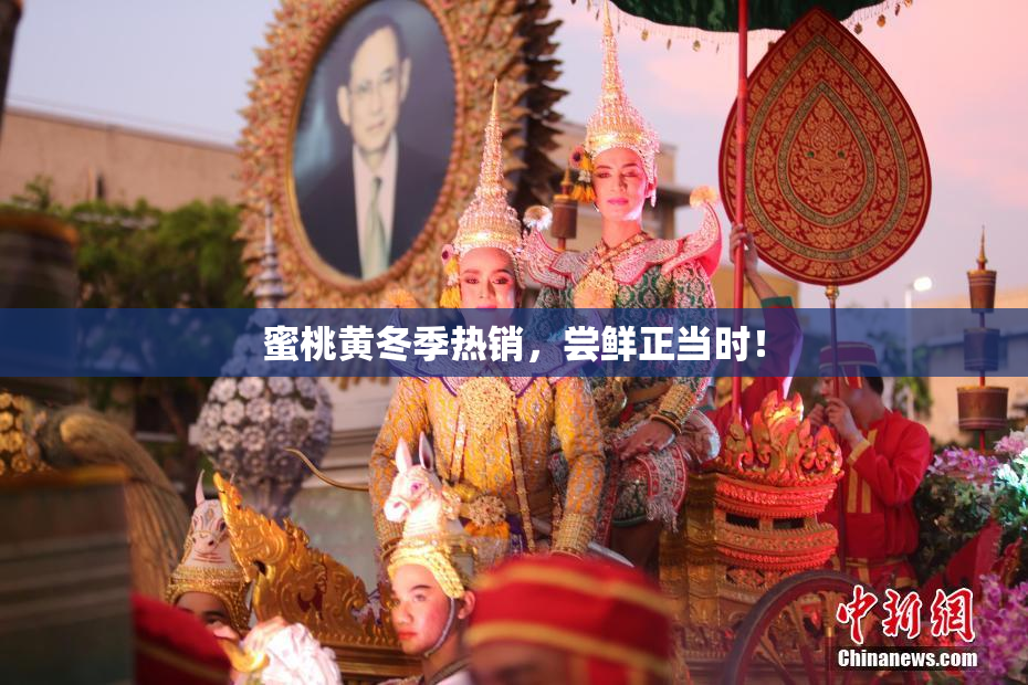 蜜桃黄冬季热销，尝鲜正当时！