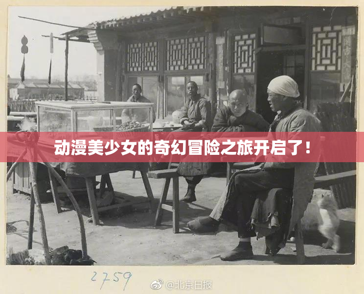 动漫美少女的奇幻冒险之旅开启了！