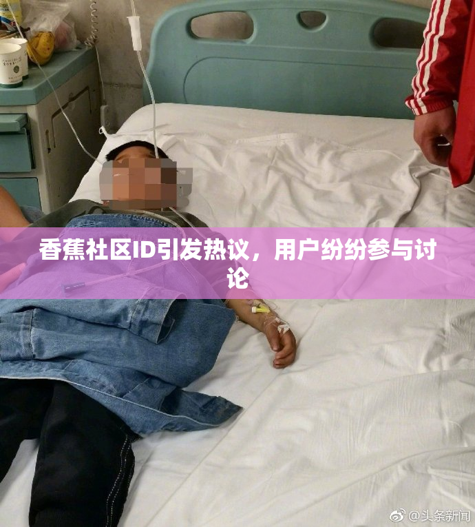 香蕉社区ID引发热议，用户纷纷参与讨论