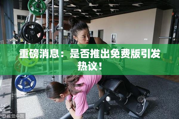 重磅消息：是否推出免费版引发热议！