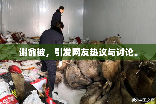 谢俞被，引发网友热议与讨论。