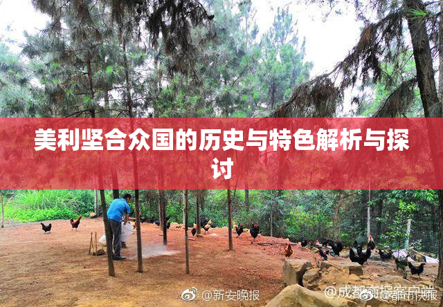 美利坚合众国的历史与特色解析与探讨