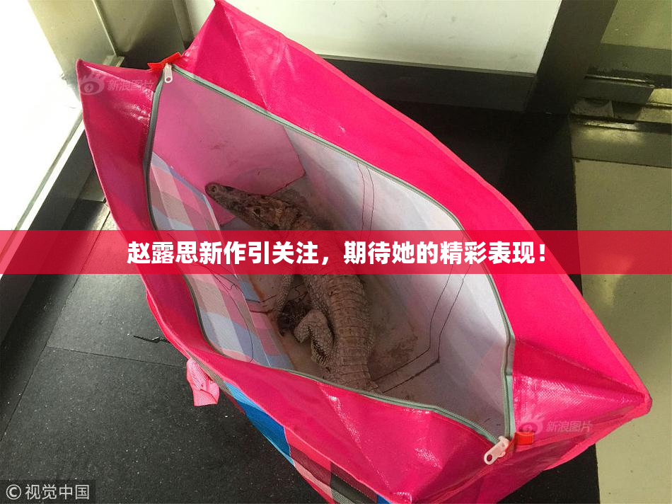 赵露思新作引关注，期待她的精彩表现！