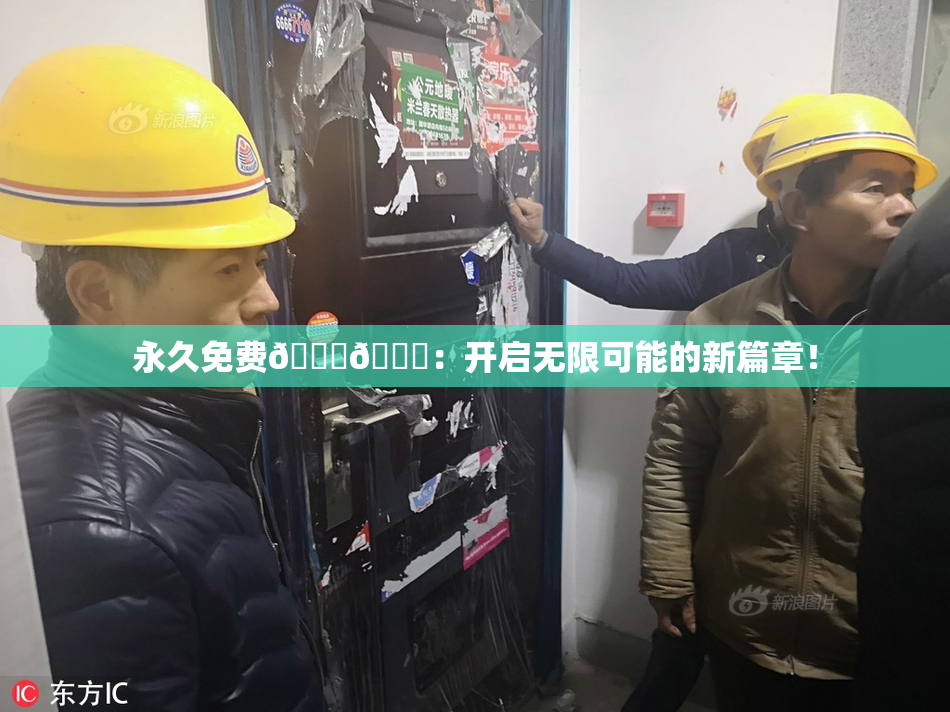 永久免费🔞🔞：开启无限可能的新篇章！