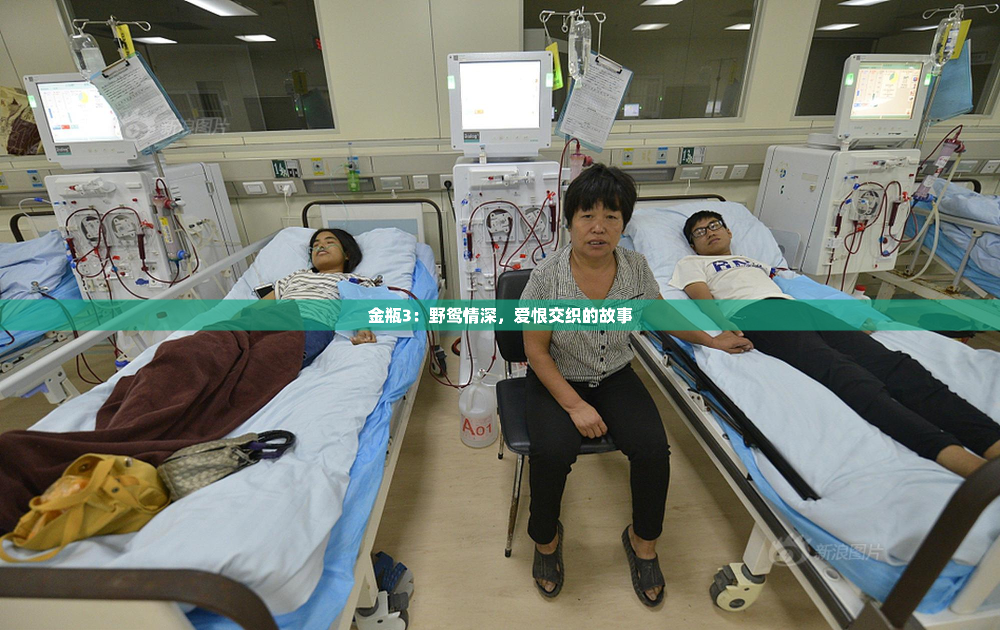 金瓶3：野鸳情深，爱恨交织的故事