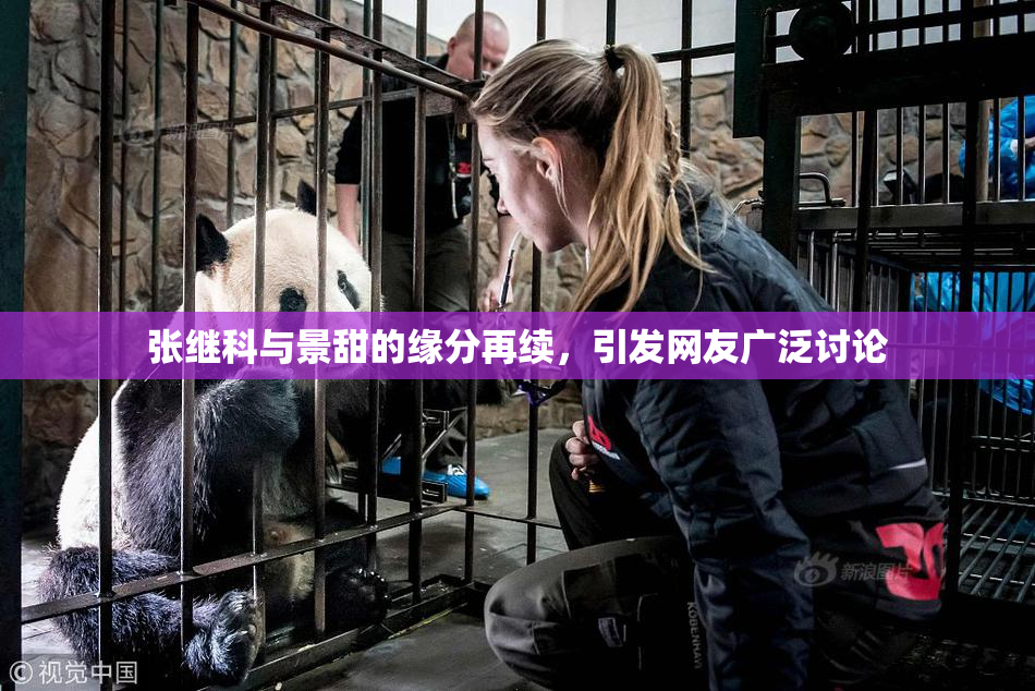 张继科与景甜的缘分再续，引发网友广泛讨论