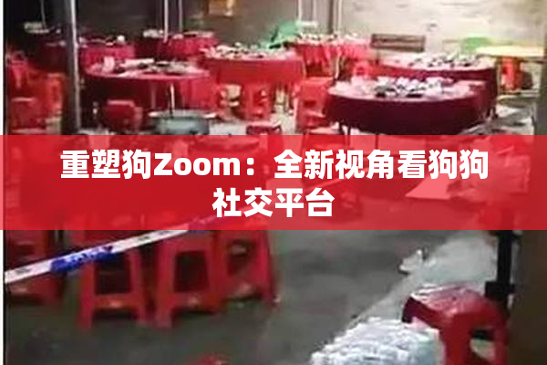重塑狗Zoom：全新视角看狗狗社交平台