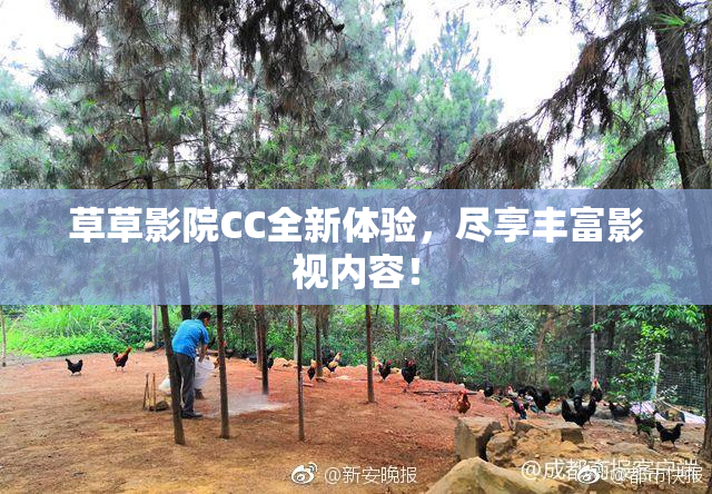 草草影院CC全新体验，尽享丰富影视内容！