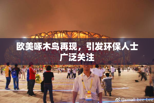 欧美啄木鸟再现，引发环保人士广泛关注