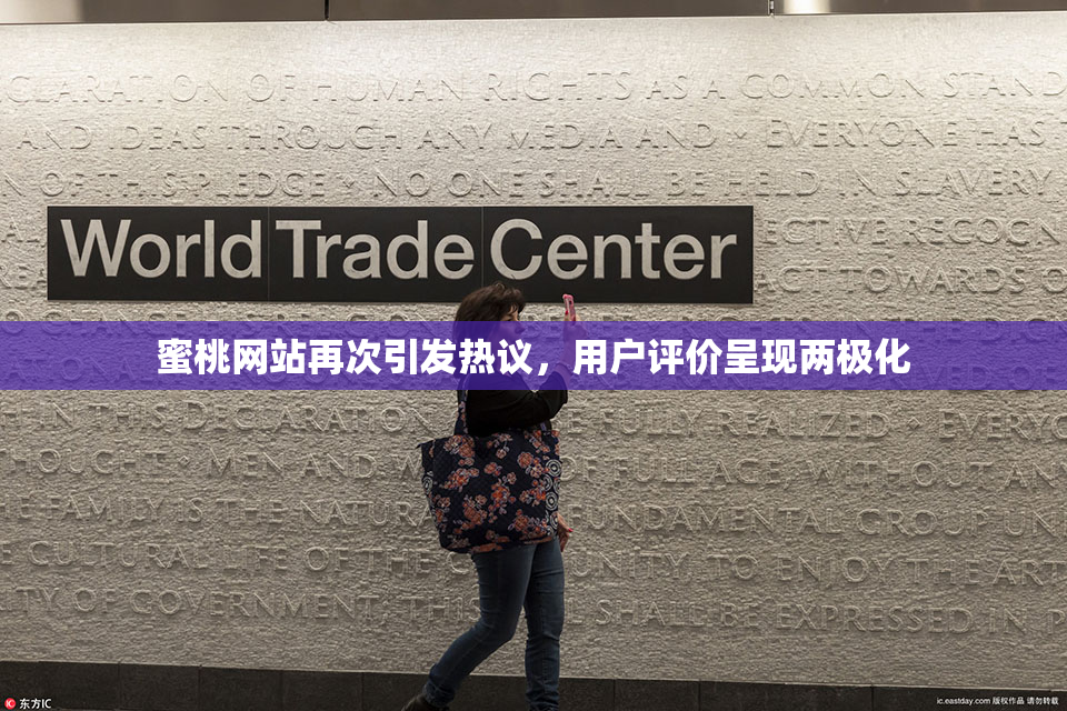 蜜桃网站再次引发热议，用户评价呈现两极化