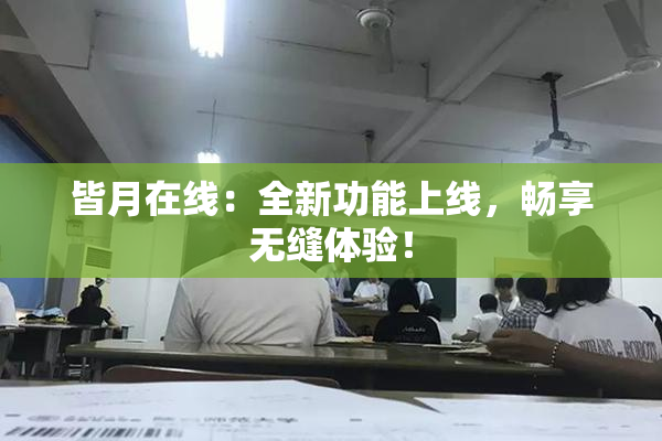 皆月在线：全新功能上线，畅享无缝体验！