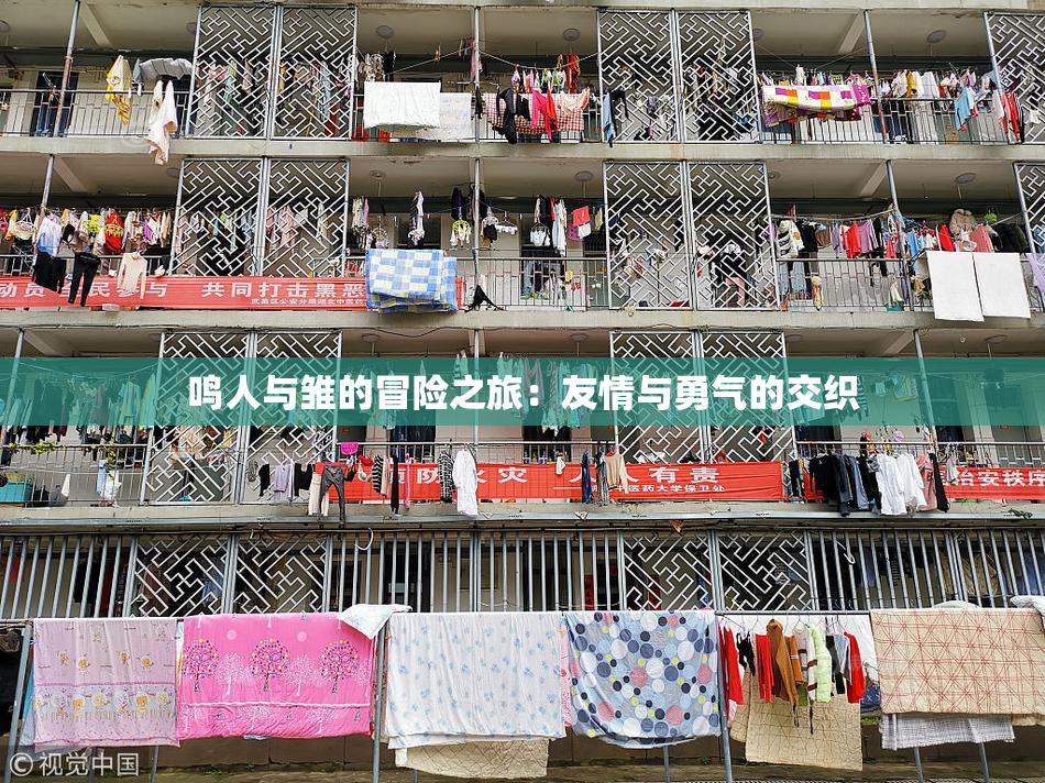 鸣人与雏的冒险之旅：友情与勇气的交织