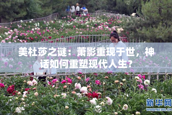 美杜莎之谜：萧影重现于世，神话如何重塑现代人生？