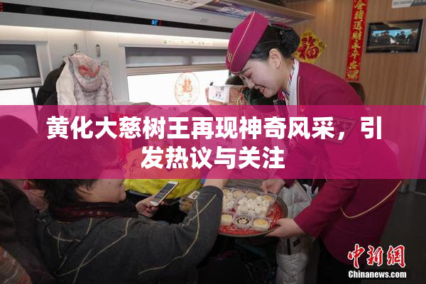 黄化大慈树王再现神奇风采，引发热议与关注
