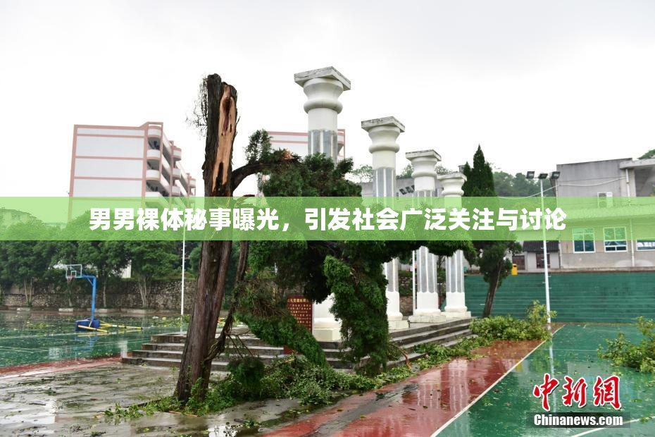 男男裸体秘事曝光，引发社会广泛关注与讨论
