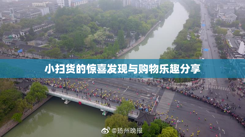 小扫货的惊喜发现与购物乐趣分享