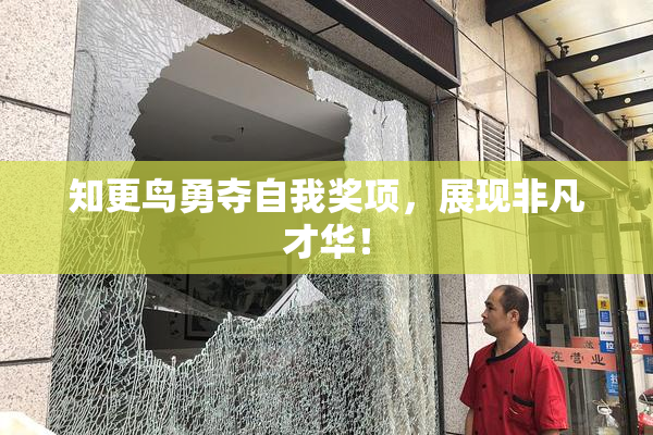 知更鸟勇夺自我奖项，展现非凡才华！