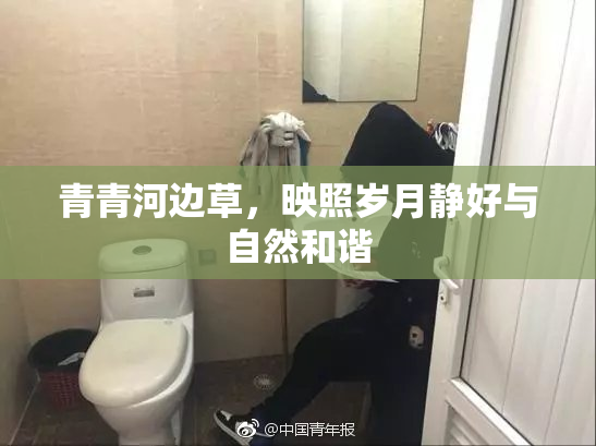 青青河边草，映照岁月静好与自然和谐