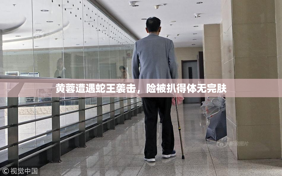 黄蓉遭遇蛇王袭击，险被扒得体无完肤