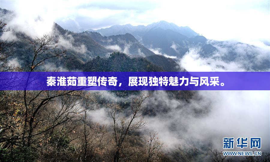 秦淮茹重塑传奇，展现独特魅力与风采。
