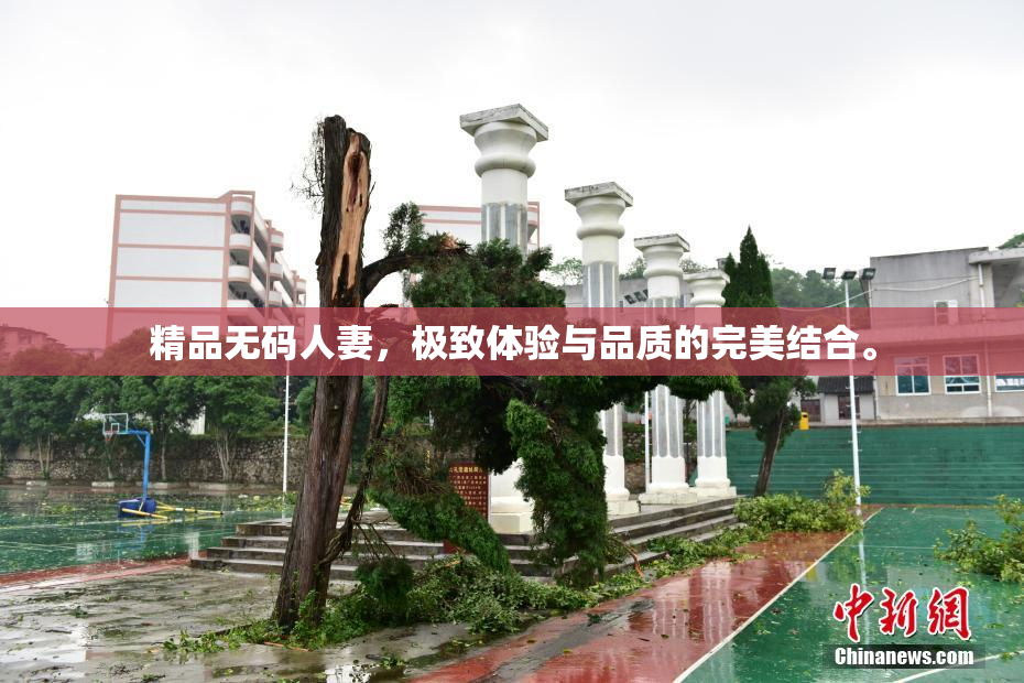 精品无码人妻，极致体验与品质的完美结合。