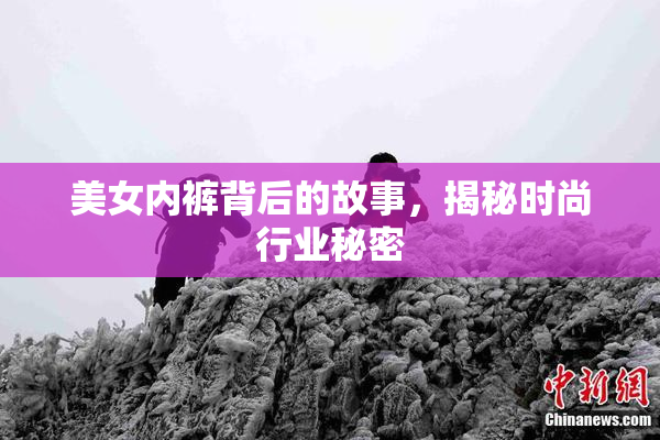 美女内裤背后的故事，揭秘时尚行业秘密
