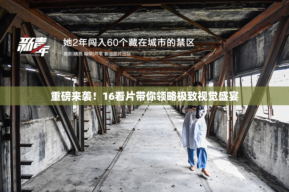 重磅来袭！16看片带你领略极致视觉盛宴
