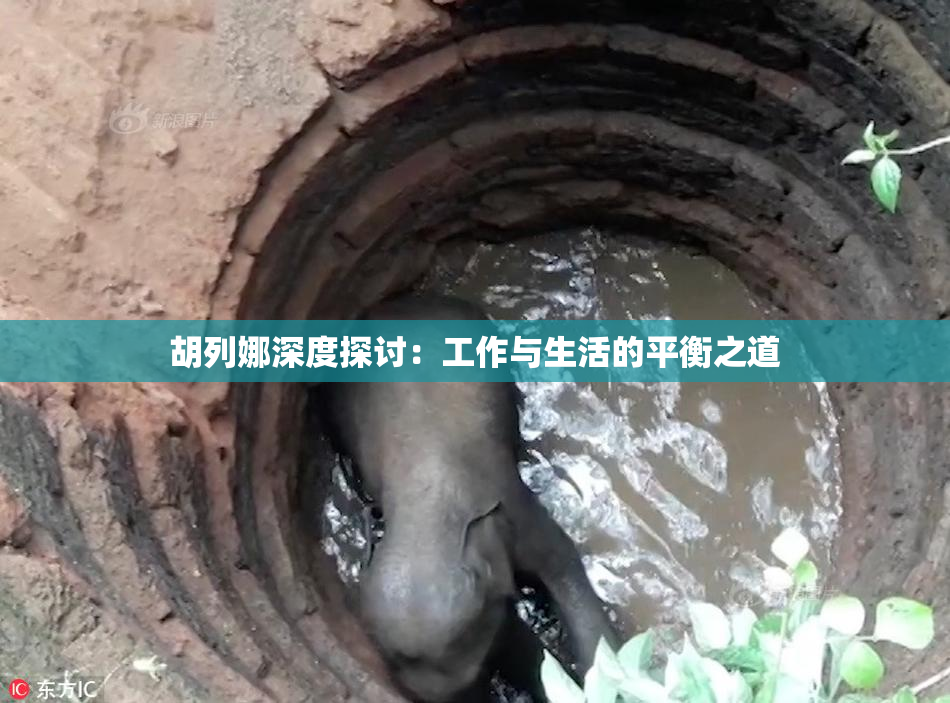 胡列娜深度探讨：工作与生活的平衡之道